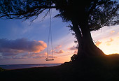 LAN 07 MR0016 01
Swing On Tree At Sunset North Shore Kauai, Hawaii