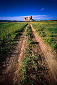 LAN 07 MR0020 01
Pathway In Field To Mountain New Mexico