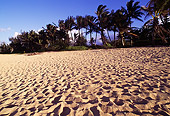 LAN 07 MR0026 01
Beach Scene North Shore Kauai, Hawaii