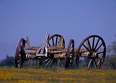 LAN 07 RK0042 04
Wooden Wagon In Yellow Flower Field Blue Sky