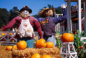 LAN 07 RK0142 16
Two Scarecrows With Pumpkins Half Moon Bay California