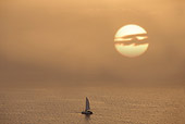 LAN 08 JE0003 01
Sailboat On Sea At Sunset, Greece