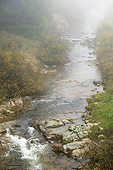 LAN 08 JE0016 01
River Near Mont Gerbier De Jonc In Haute-Loire, France