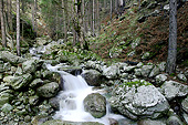 LAN 08 JE0025 01
Gorges De La Restonica In Corsica, France