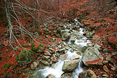 LAN 08 JE0026 01
River In Vizzavona In Autumn Corsica, France