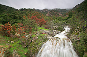 LAN 08 JE0027 01
River In Balagne In Autumn Corsica, France