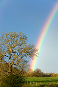 LAN 08 KH0011 01
Rainbow In Spring France