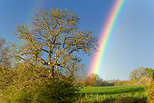 LAN 08 KH0012 01
Rainbow In Spring France