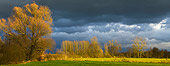 LAN 08 KH0013 01
Storm Over Field In Autumn France