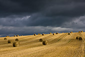 LAN 08 KH0037 01
Stubble And Straw Bales Under Stormy Sky At End Of Summer
