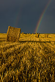 LAN 08 KH0040 01
Stubble And Straw Bales Under Stormy Sky With Rainbow