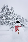 LAN 08 KH0043 01
Snowman On Edge Of Snowy Fir Forest In Falling Snow