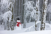 LAN 08 KH0044 01
Snowman On Edge Of Snowy Fir Forest