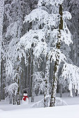 LAN 08 KH0045 01
Snowman On Edge Of Snowy Fir Forest