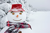 LAN 08 KH0046 01
Close-Up Of Snowman On Edge Of Snowy Fir Forest