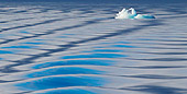 LAN 08 KH0075 01
Floating Ice And Waves In Svalbard, Norway