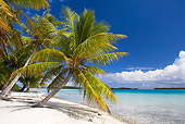 LAN 08 KH0077 01
Coconut Palms On White Sand Beach At Deserted Island In Polynesia