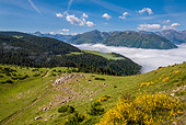 LAN 08 KH0094 01
View From Plateau De Beille In Pyrenees, France