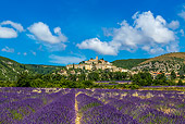 LAN 08 KH0108 01
Village Of Banon And Lavender Field In Alpes De Haute Provence, France