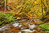 LAN 08 MH0004 01
Autumn Trees Along Stream Scotland
