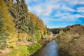 LAN 08 MH0007 01
Trees In Autumn Colors Along Stream