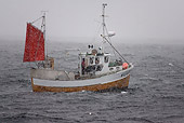LAN 08 KH0001 01
Fishing Boat In Ocean Norway