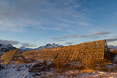 LAN 08 KH0006 01
Fish Drying On Racks In Norway