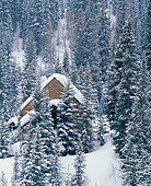 LAN 09 JZ0001 01
Cabin In Snowy Forest