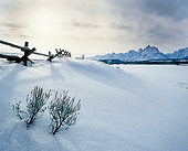 LAN 09 JZ0005 01
Snowy Field And Fence By Mountains
