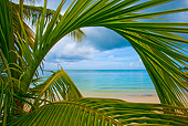 LAN 09 JZ0011 01
Palm Trees And Tropical Beach