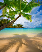 LAN 09 JZ0013 01
Palm Trees And Tropical Beach