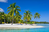LAN 09 KH0004 01
Tropical Beach On Bora Bora