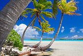 LAN 09 KH0006 01
Tropical Beach In French Polynesia