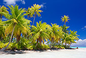LAN 09 KH0007 01
Tropical Beach In French Polynesia