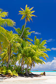 LAN 09 KH0008 01
Tropical Beach In French Polynesia