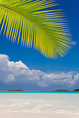 LAN 09 KH0011 01
Tropical Beach In French Polynesia