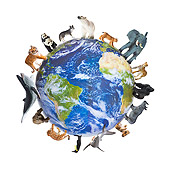 LAN 09 KH0020 01
Earth With Endangered Animals Standing In Circle On White Seamless