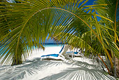 LAN 09 KH0021 01
Lounge Chairs On Beach By Coconut Tree Maldives