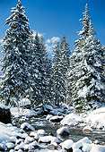 LAN 09 RC0003 01
Snow On Trees By Stream