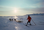 LAN 09 MR0018 01
Dog Sled In Svalbard Spitsbergen