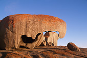 LAN 09 RF0009 01
Flinders National Park Australia