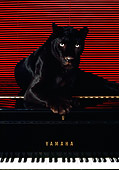 LEP 30 RK0115 35
Black Leopard Laying On Top Of Black Piano Facing Camera Red Blinds Background