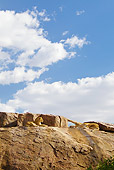 LNS 01 MC0022 01
Lioness Resting On Rocks Tanzania