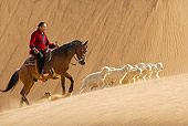 MAM 17 KH0008 01
Berger Horse And Dog Guiding Herd Of Dwarf Goats Through Sand Dunes