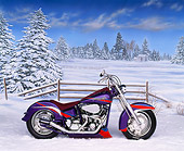 MOT 01 RK0200 02
1988 Custom Harley-Davidson Purple With Stripes Profile View On Snow