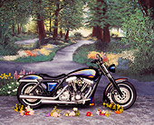MOT 01 RK0244 01
Harley-Davidson FLT Profile View Forest Background Studio