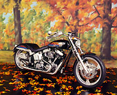 MOT 01 RK0253 05
1994 Harley-Davidson Softail Hot Rod Black 3/4 Front View On Fall Leaves