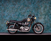 MOT 01 RK0360 07
2003 Triumph Bonneville T100 Green And Gold Profile View Studio