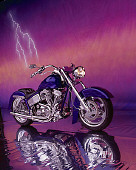MOT 01 RK0428 08
2004 FXR Pro Street Purple Motorcycle