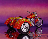 MOT 01 RK0438 02
Harley Davidson Trike Orange With Green Flames